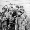 Dzieci w Auschwitz, zwłaszcza bliźniacze rodzeństwa, były obiektem pseudomedycznych eksperymentów Jo
