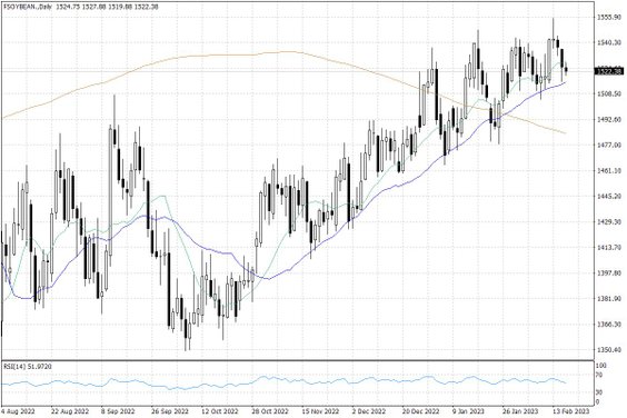 Notowania soi w USA – dane dzienne