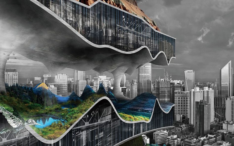 Tianshu Liu I Lingshen Xie, Stany Zjednoczone