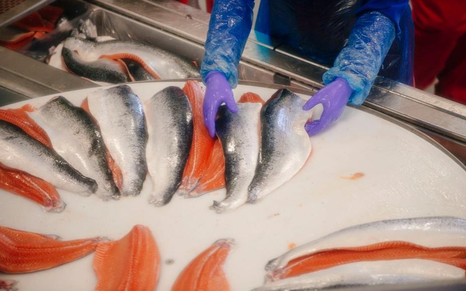 Norweski łosoś ratuje norweskie PKB