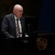 Ambasador Rosji przy ONZ Wasilij Nebenzia