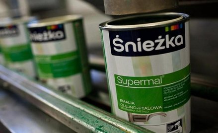 Śnieżka z potencjałem
