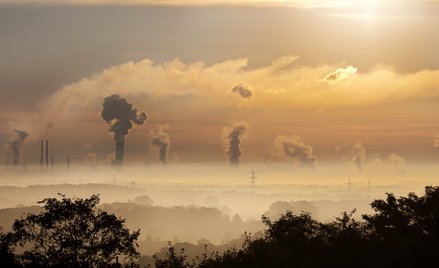 Usuwanie CO2 z atmosfery to za mało. Przyroda tak nie działa