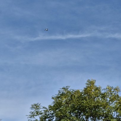 Uchwycony w obiektywie dron przelatujący nad wybiegiem warszawskiego zoo