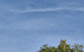 Uchwycony w obiektywie dron przelatujący nad wybiegiem warszawskiego zoo