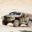 Hawkei: jadowity australijski zwiadowca