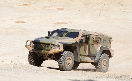 Hawkei: jadowity australijski zwiadowca
