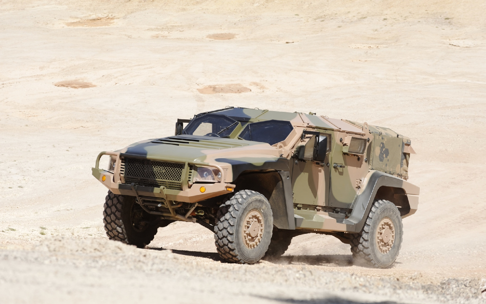 Hawkei: jadowity australijski zwiadowca