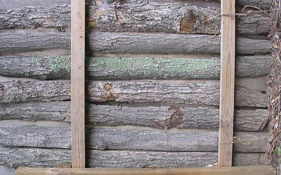 Drewno w Polsce jest droższe od niemieckiego