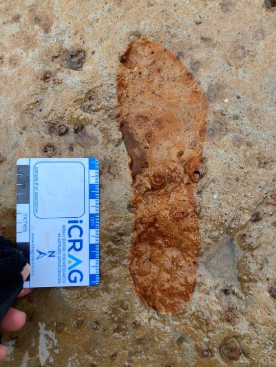 Ślady stóp sprzed 2 tysięcy lat znaleziono na plaży w Szkocji