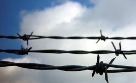 Ciasnota może naruszać dobra osobiste skazanych