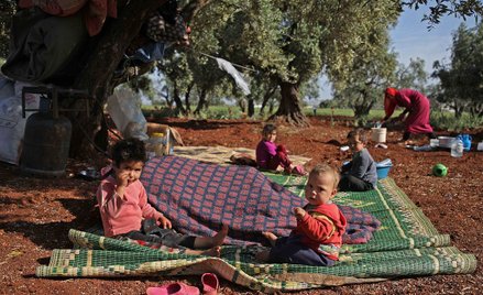 Finlandia sprowadzi dzieci dżihadystów z Daesh?