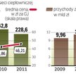 Polacy oszczędzają na centralnym ogrzewaniu