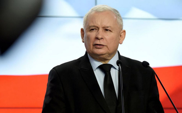 Opinie Jarosława Kaczyńskiego o euro nie są zgodne z wiedzą ekonomiczną – twierdzi Andrzej Olechowsk