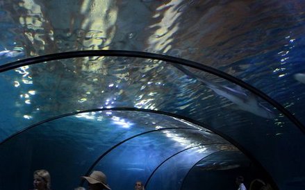 Oceanarium w Rotterdamie