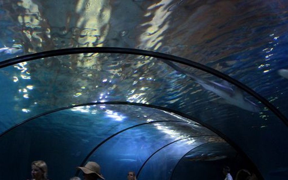 Oceanarium w Rotterdamie