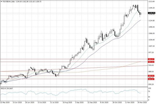 Notowania soi w USA – dane dzienne