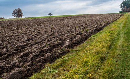 Handel ziemią bardziej elastyczny