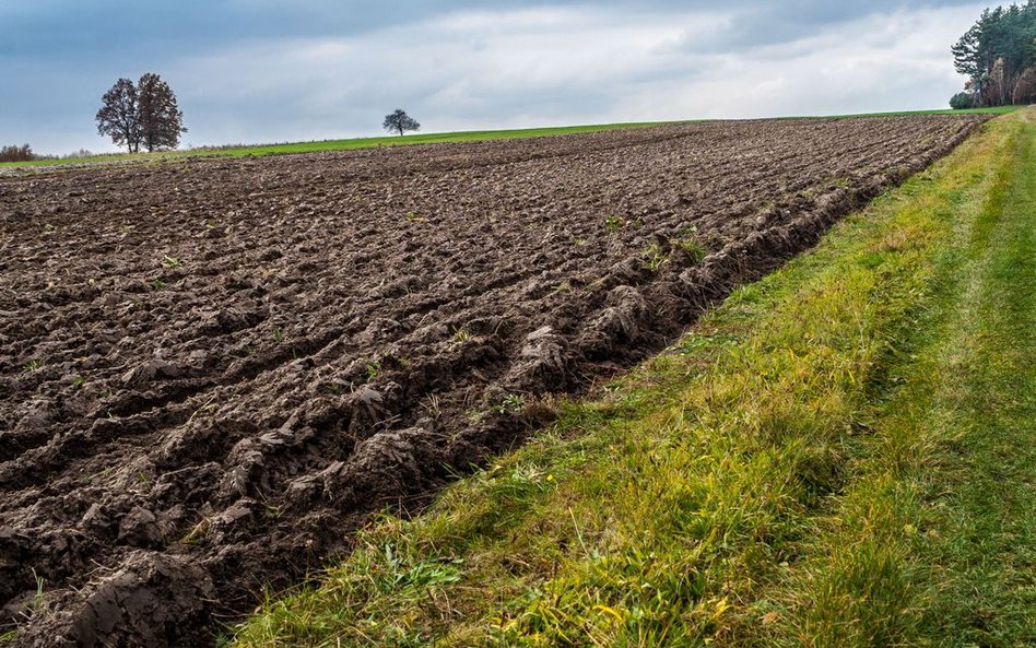 Handel ziemią bardziej elastyczny