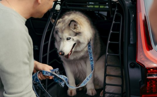 Interaktywne miasteczko bezpieczeństwa Volvo For Safety