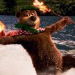 Miś Yogi zawsze zaskakuje turystów parku Yellowstone
