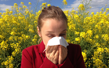 Niebezpieczne związki, czyli o alergii w pracy nie tylko na wiosnę