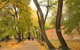 Kraków w wybranych parkach (m.in. na Plantach) sadzi rośliny charakterystyczne dla leśnego runa