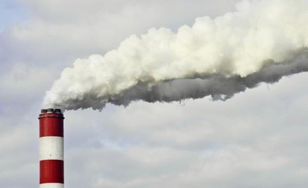 Koalicja wokół Polski przeciwko większym cięciom emisji CO2