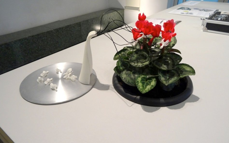 “Erotyczna zabawka” przyspieszająca wzrost roślin - Pei-Ying Lin, Spela Petric, Dimitrios Stamatis