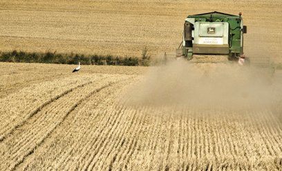 Nowe dopłaty dla rolników coraz bliżej. Wiadomo, kto i ile może dostać