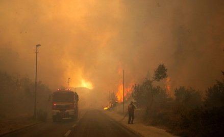 Najciekawsze zdjęcia tygodnia [GALERIA]