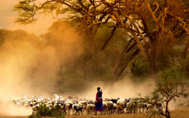Kenia: 22 dolary dla każdego w wiosce. Na co je wydają?