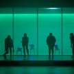 „Rok bez lata" Florentiny Holzinger. Scena z psami-robotami