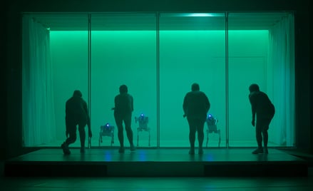 „Rok bez lata" Florentiny Holzinger. Scena z psami-robotami