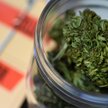 Na Manhattanie od dziś można palić marihuanę