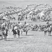 W.H. Illingworth, 1874 r., wyprawa na Black Hills. Kolumna kawalerii, artylerii i wozów dowodzona pr
