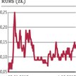 Global Trade: Jedna spółka, różne wizje
