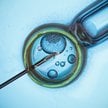 Frisch Został dawcą spermy w tajnym, pionierskim programie szwedzkich lekarzy ze szpitala Karolinska