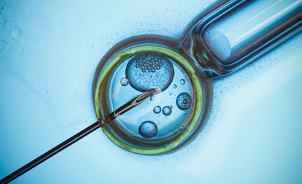 Frisch Został dawcą spermy w tajnym, pionierskim programie szwedzkich lekarzy ze szpitala Karolinska