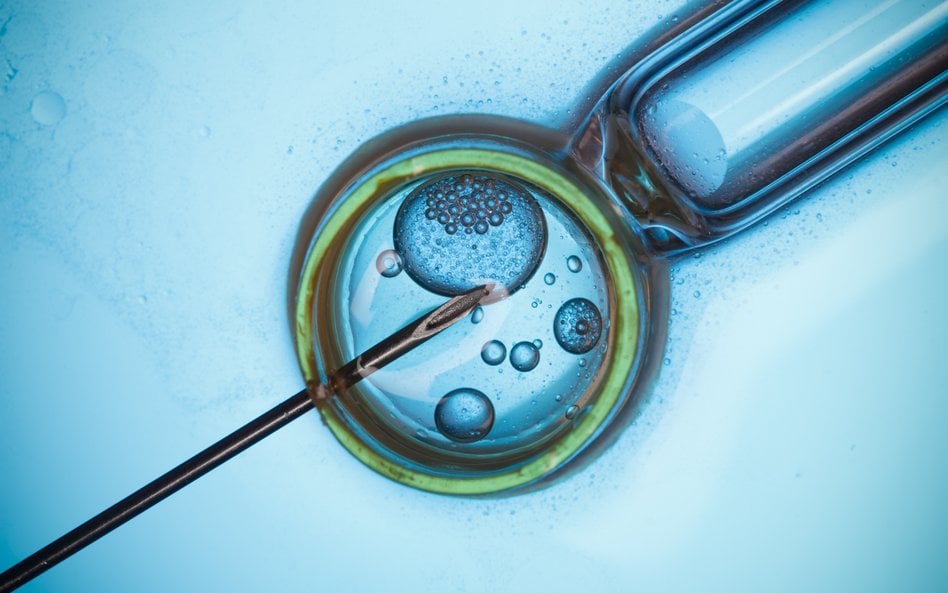 Frisch Został dawcą spermy w tajnym, pionierskim programie szwedzkich lekarzy ze szpitala Karolinska