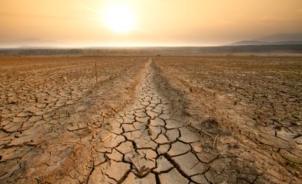 Według NOAA rok 2024 może okazać się najcieplejszy w historii pomiarów