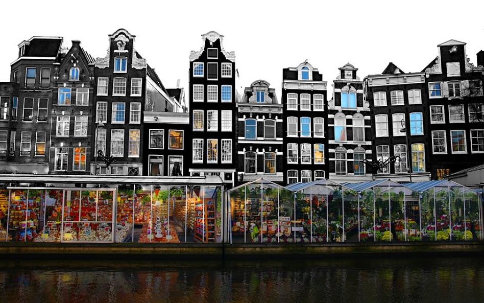 Bloemenmarkt w Amsterdamie