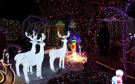 Cuda w prywatnym ogrodzie w Meyreuil we Francji.