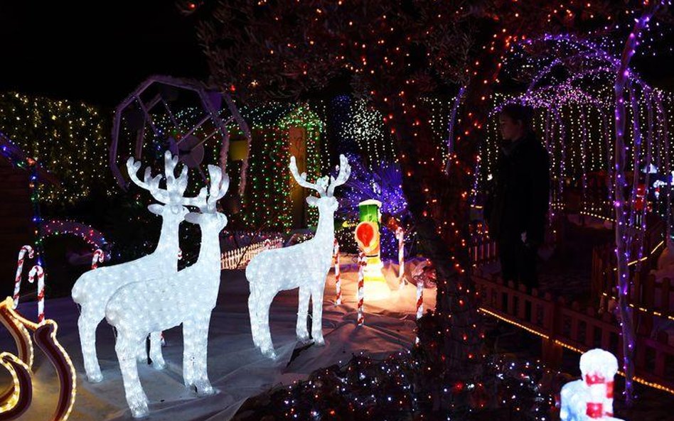 Cuda w prywatnym ogrodzie w Meyreuil we Francji.