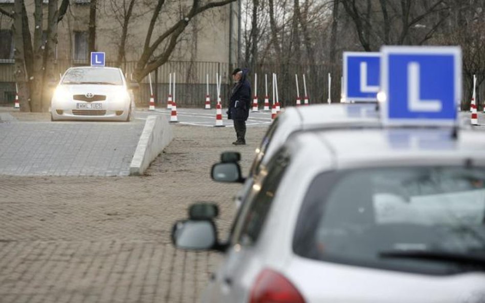 Prawo jazdy z Internetu już za rok