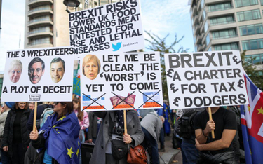 Przeciwnicy brexitu domagają się kolejnego referendum