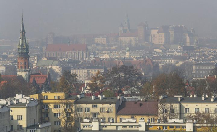 W większo&#347;ci polskich województw przyczyną smogu jest emisja pyłów i szkodliwych gazów pochodzą