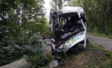 Nadzorca drogi nie wyciął topoli, więc zapłaci za śmierć kierowcy