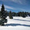 W Beskidach szlaki turystyczne zasypał śnieg