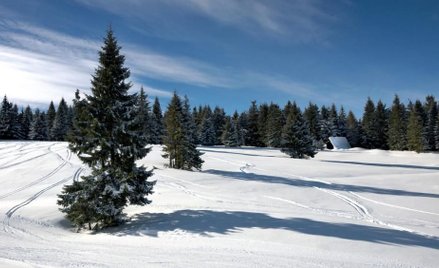 W Beskidach szlaki turystyczne zasypał śnieg
